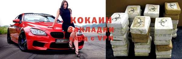 гидра Абаза