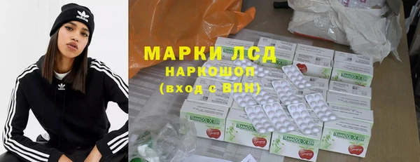 гидра Абаза