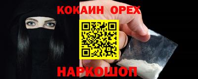 дживик Кингисепп