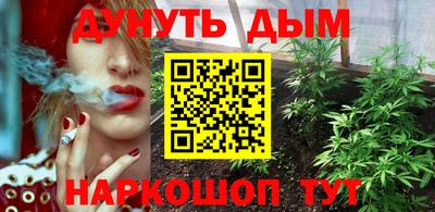 дживик Кингисепп