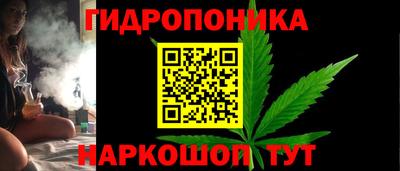 дживик Кингисепп