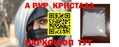 дживик Кингисепп