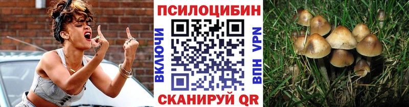 Псилоцибиновые грибы мухоморы  Котовск 